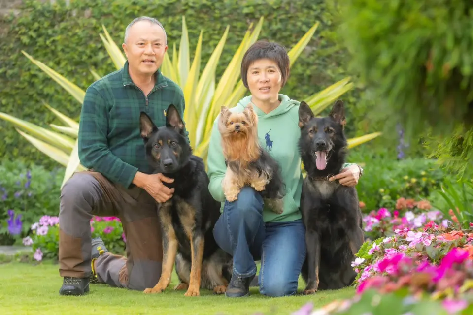 黃德光、邵秀蘭兩位老師與兩隻德國狼犬、一隻約克夏在花園草地合影
