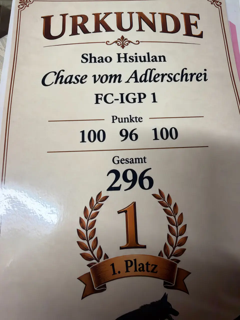 德國 IGP1 比賽獎狀：Shao Hsiulan、Chase vom Adlerschrei，分數 100、96、100，總分 296，第 1 名